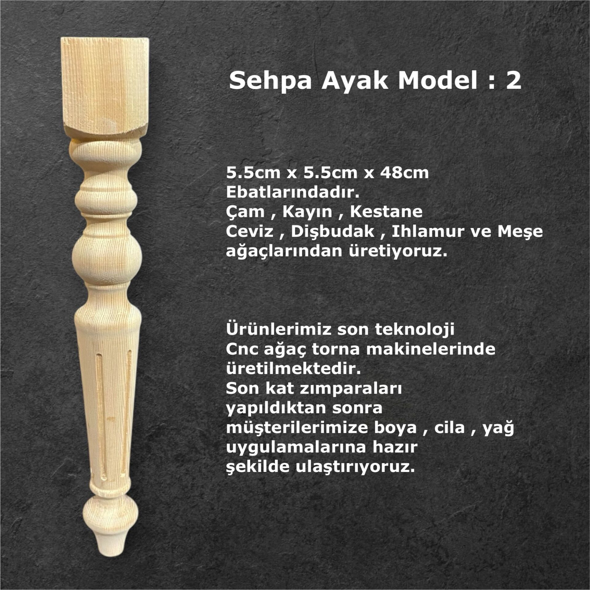 SEHPA AYAK 2