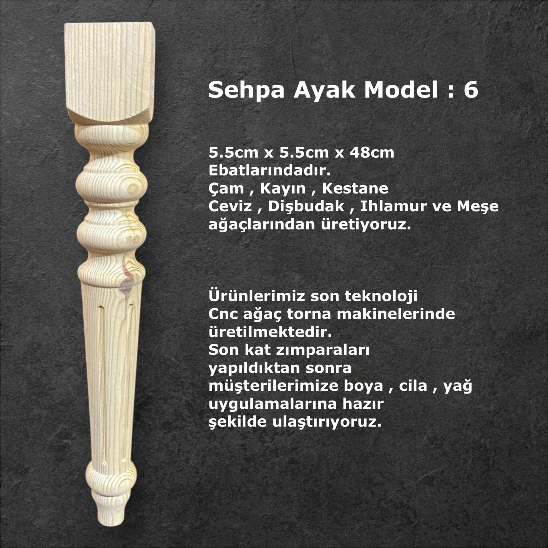 SEHPA AYAK 6